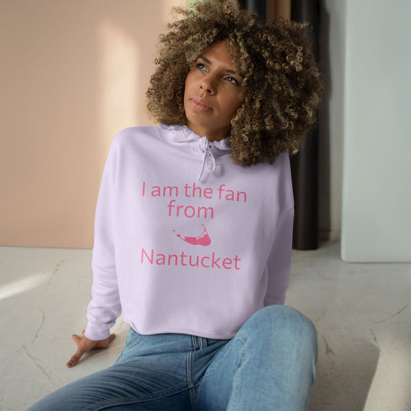 Nantucket Big Fan Crop Hoodie