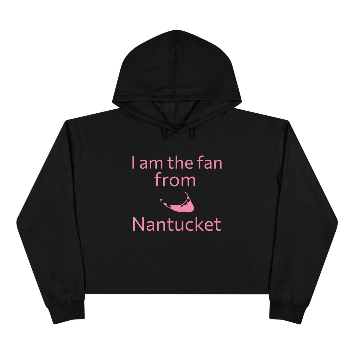 Nantucket Big Fan Crop Hoodie